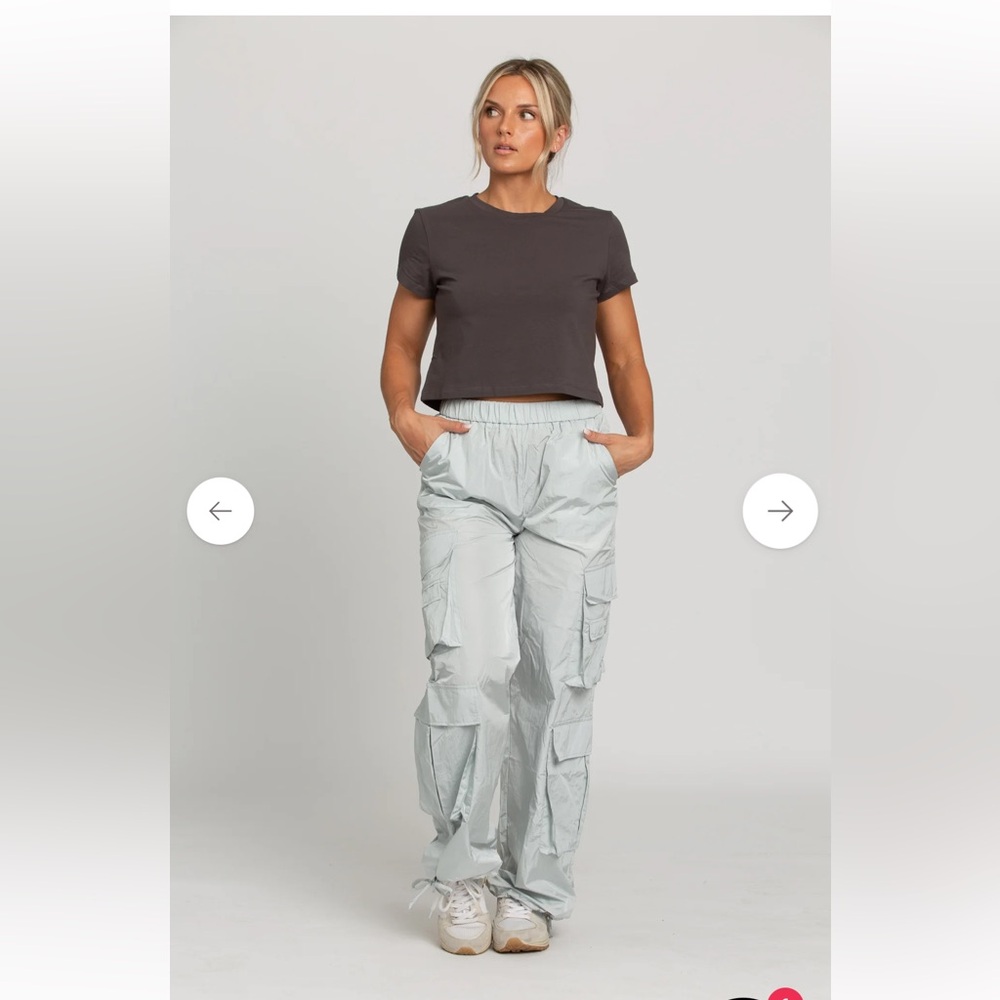 GOLD HINGE NWT cargo pants